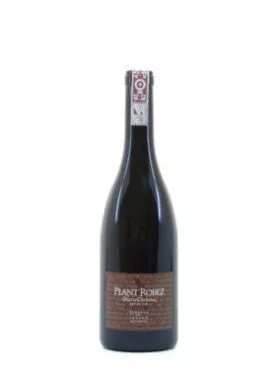 Plant_Robez_BD Plant Robez Blaise Duboux, Epesses