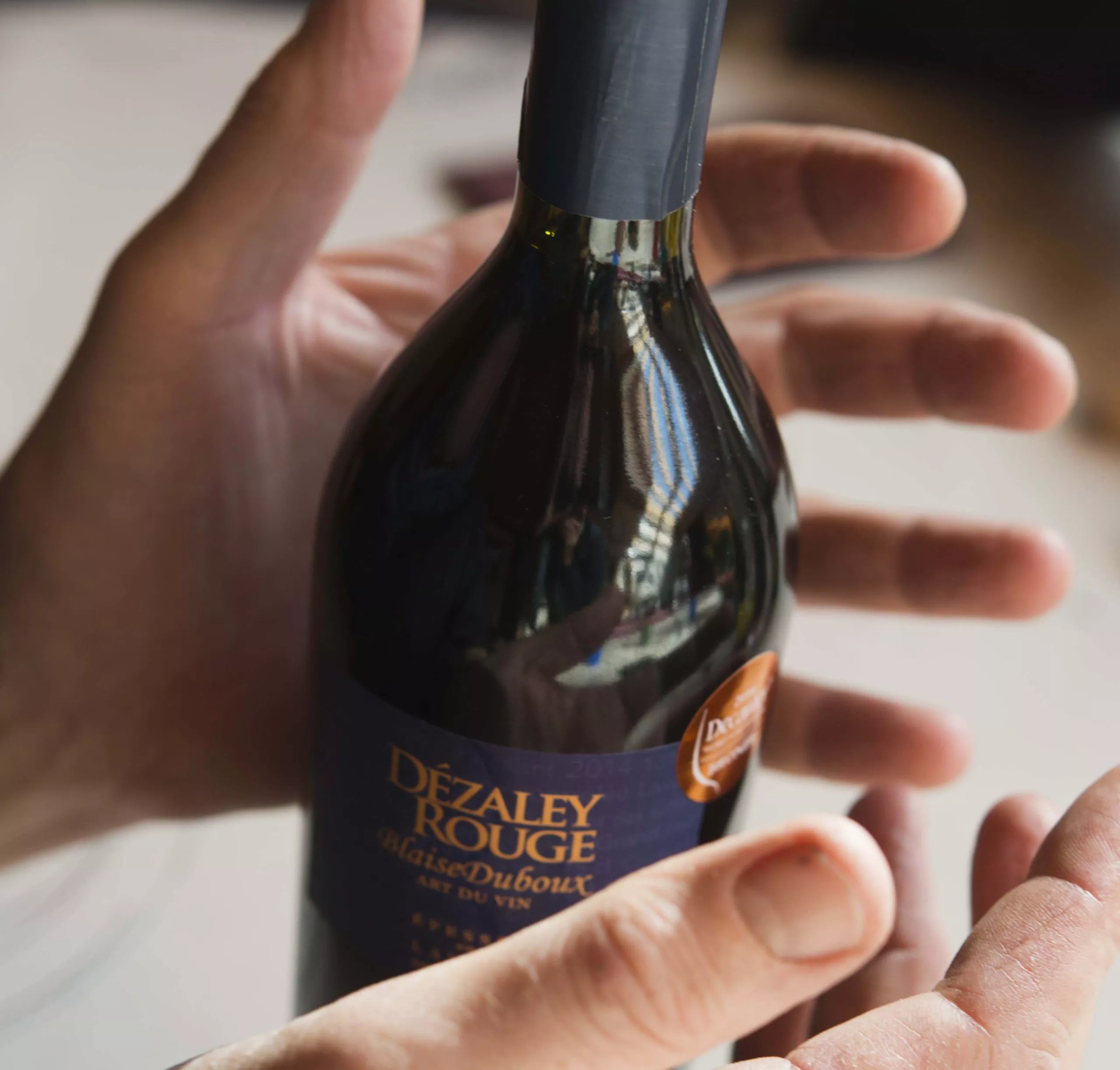 Weinlese, Vendange Blaise Duboux Assemblage rouge Le Treillant, Domaine Blaise Duboux/Weinweltfoto